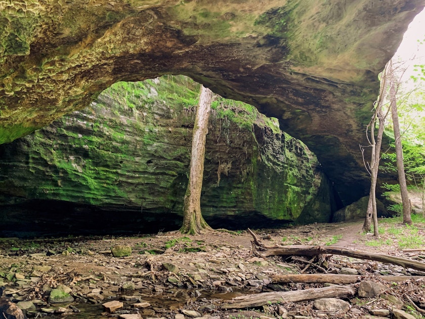 Visit the Kincaid Mounds State Historic Site, 37.079789,88.490783